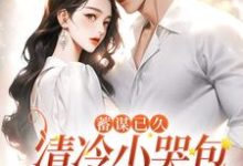 男女主人公宋稚慕南祁小说蓄谋已久:清冷小哭包被总裁娇宠了章节免费阅读-百合文学