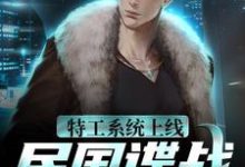 特工系统上线,民国谍战很轻松袁野,特工系统上线,民国谍战很轻松小说免费阅读-百合文学