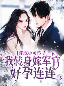 穿成小可怜？我转身嫁军官好孕连连周婷婷小说在线章节目录阅读最新章节