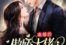 离婚后，傲娇大佬日日缠着她（沈晚瓷薄荆舟）在线免费阅读-百合文学