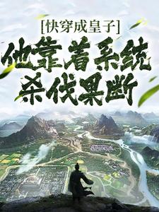 快穿成皇子，他靠着系统杀伐果断小说，快穿成皇子，他靠着系统杀伐果断在线阅读