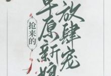 在线寻找抢来的草原新娘放肆宠小说的无删减版本-百合文学