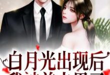 主角叫 姜稚沈卿尘的小说在哪阅读-百合文学