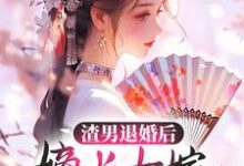 渣男退婚后，嫡长女嫁给了疯批残王小说的无弹窗阅读体验，寻找免费阅读网站-百合文学