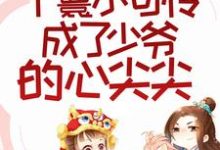 丫鬟小可怜成了少爷的心尖尖小说有没有完结版在线?-百合文学
