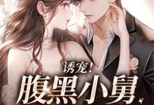 已完结小说《诱宠！腹黑小舅肆意妄吻》最新章节-百合文学