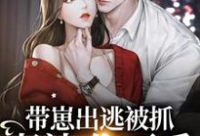 小说《带崽出逃被抓：老婆，你不乖》章节免费阅读-百合文学