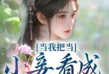 当我把当小妾看成打工后苏幼薇李景恒小说大结局免费试读-百合文学