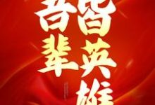 已完结小说《抗战1937：吾辈皆英雄》章节在线阅读-百合文学