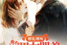 哪里能找到婚礼现场，前男友哭着求我回头小说的全部章节？-百合文学