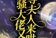 闷骚大佬又在等夫人来哄小说无弹窗阅读的网站推荐-百合文学