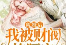 主人公苏音帝景深小说离婚后，我被财阀掐腰宠在线章节阅读-百合文学