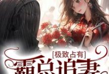 完结版《极致占有:霸总追妻也很甜》在线免费阅读-百合文学