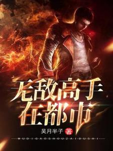 无敌高手在都市小说，无敌高手在都市林宇阳刘圆圆