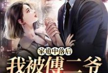 家道中落后,我被傅二爷看上了小说最新更新在哪里?免费在线看-百合文学