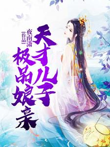 《天才儿子极品娘亲》全集免费在线阅读（慕染染慕瑾瑜夙宸）