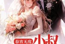 春宵无度：小叔宠我上天小说有没有完结版在线？-百合文学