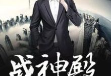 吴天苏一曼为主角的小说好看吗?免费读战神殿(生而为王)-百合文学