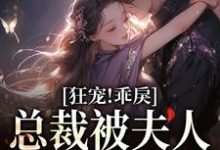 黎晟乔馨予小说在哪里可以看-百合文学