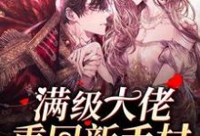 满级大佬重回新手村小说全文阅读需要付费吗?寻找免费资源-百合文学