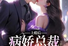 夏梨是哪本书的主角?上瘾后,病娇总裁视我入命免费读-百合文学