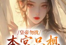 皇帝勿扰，本宫只想做咸鱼小说全文阅读需要付费吗？寻找免费资源-百合文学