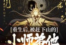 重生后,被赶下山的小师弟他黑化了这本小说怎么样?免费在线阅读试试-百合文学