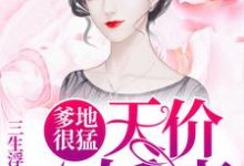 爹地很猛:天价小娇妻免费阅读,爹地很猛:天价小娇妻章节目录-百合文学
