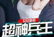 女总裁的超神兵王冷炎何惠冷风,女总裁的超神兵王章节在线阅读-百合文学
