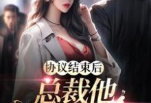 协议结束后，总裁他不让我走了小说阅读，协议结束后，总裁他不让我走了完结版-百合文学