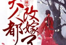 小说《别再闹!夫人都改嫁了》章节免费阅读-百合文学