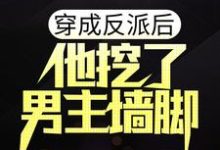 穿成反派后,他挖了男主墙脚小说有没有完结版在线?-百合文学
