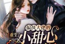小说《重生:偏执大佬的小甜心又娇又飒》在线章节阅读-百合文学