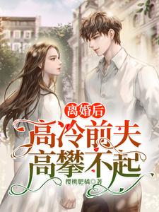 闻霜傅霆是哪本书的主角？离婚后，高冷前夫高攀不起免费读