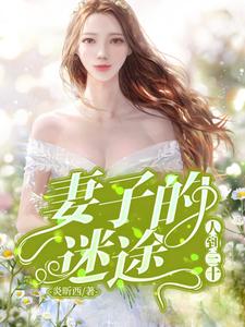 哪里能找到人到三十：妻子的迷途小说的全部章节？