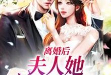 离婚后,夫人她带崽出国了小说免费资源,离婚后,夫人她带崽出国了在线阅读-百合文学