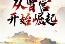 寻找能够免费阅读三国:从曹营开始崛起小说的平台-百合文学