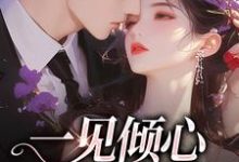 小说《一见倾心,再见深情》在线章节阅读-百合文学