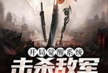 开局觉醒系统,击杀敌军就能变强这本小说在哪里可以看?哪里有免费试读章节?-百合文学