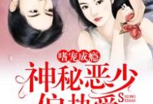 嗜宠成瘾:神秘恶少偏执爱最新章节,嗜宠成瘾:神秘恶少偏执爱免费阅读-百合文学