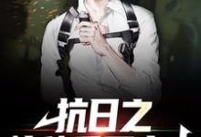 哪里能找到抗日之特种兵王出击小说的最新更新和免费章节？-百合文学