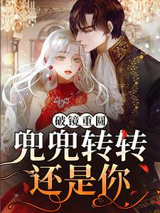哪里能找到破镜重圆：兜兜转转还是你小说的全部章节？