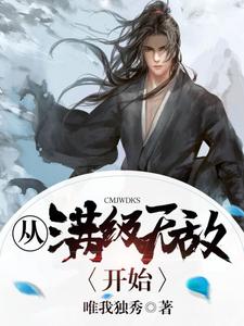完结版《从满级无敌开始》免费阅读