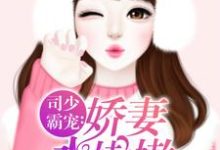 司少霸宠：娇妻水嫩嫩莫小绾司凌钺小说大结局免费试读-百合文学