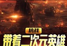 抗战：带着二次元英雄，杀爆倭寇这本小说怎么样？免费在线阅读试试-百合文学