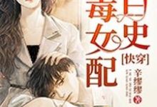 快穿：恶毒女配洗白史辛夷陆宇，快穿：恶毒女配洗白史在线无弹窗阅读-百合文学