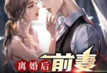 已完结小说《离婚后，前妻跪求原谅》在线章节阅读-百合文学