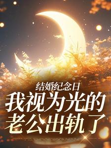 小说《结婚纪念日，我视为光的老公出轨了》章节免费阅读