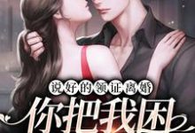 说好的领证离婚，你把我困孤岛造人？这本小说在哪里可以看？哪里有免费试读章节？-百合文学