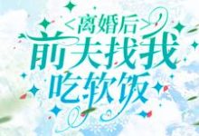 离婚后,前夫找我吃软饭小说有没有完整的免费版本在线阅读?-百合文学